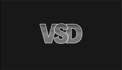 vsd 1