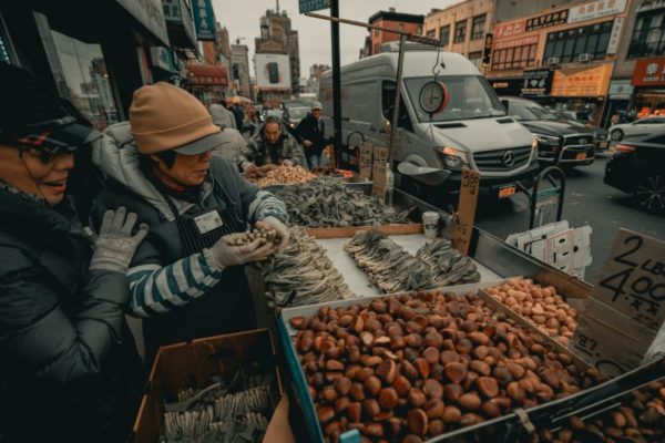 brooklyn family brooklyn family