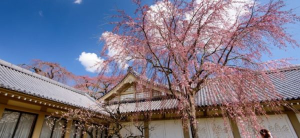 découverte du japon à deux