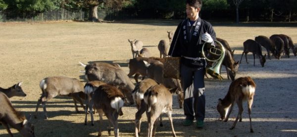 découverte du japon à deux